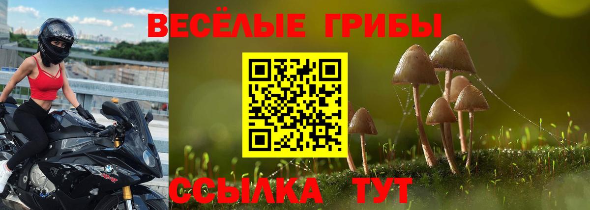 Галлюциногенные грибы MAGIC MUSHROOMS  Вход с VPN  Белорецк 